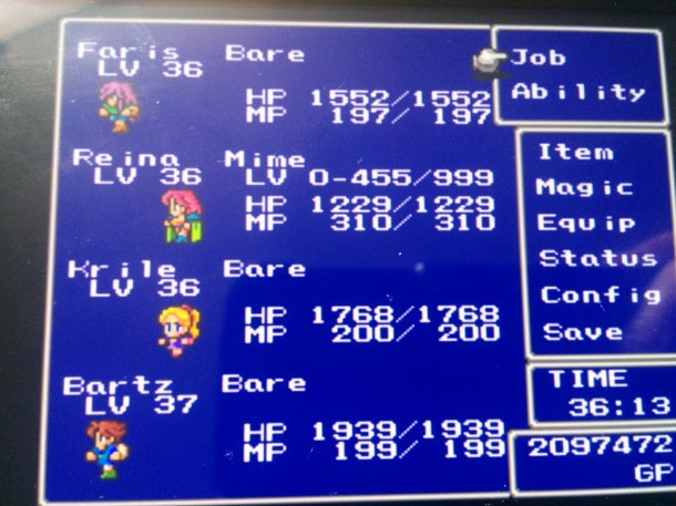 My team for the final dungeon of the game.